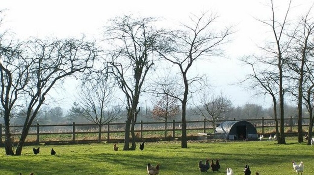 Foto „Heywood“ von Richard Rice (CC BY-SA)/zugeschnittenes Original