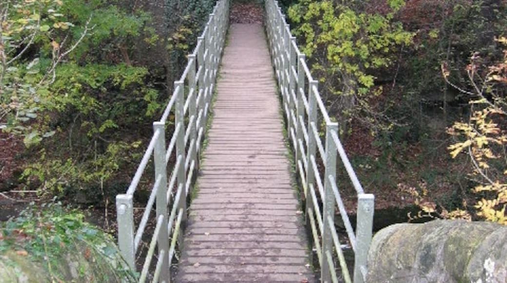 "Shotley Bridge"-foto av Colin Edgar (CC BY-SA) / Urklipp från original