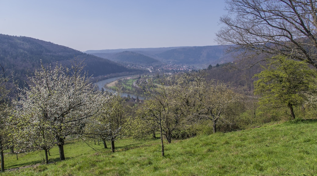 Foto „Neckargemünd“ von Bytfisch (CC BY-SA)/zugeschnittenes Original