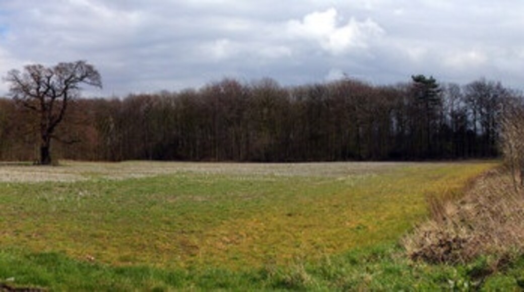 Kuva ”Brocklesby” käyttäjältä David Wright (CC BY-SA) / rajattu alkuperäisestä kuvasta