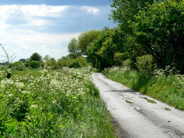 Foto “Cottingwith” tomada por Roger Gilbertson (CC BY-SA); recorte de la original