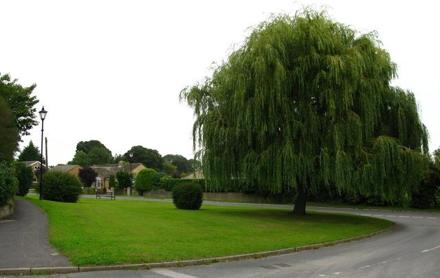 "Sowerby"-foto av David Rogers (CC BY-SA) / Urklipp från original