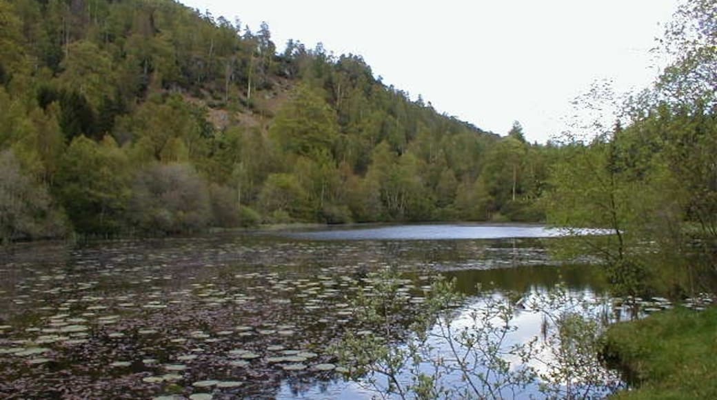 Photo "Polney Loch" by Dave Fergusson (CC BY-SA) / Cropped from original