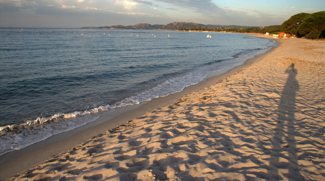 "Palombaggia strand"-foto av Mykola Berkash (CC BY) / Urklipp från original