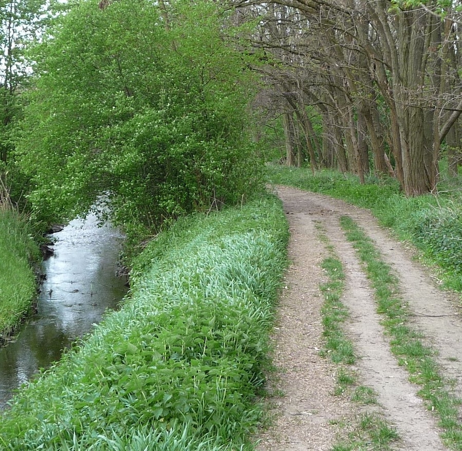 Weg
