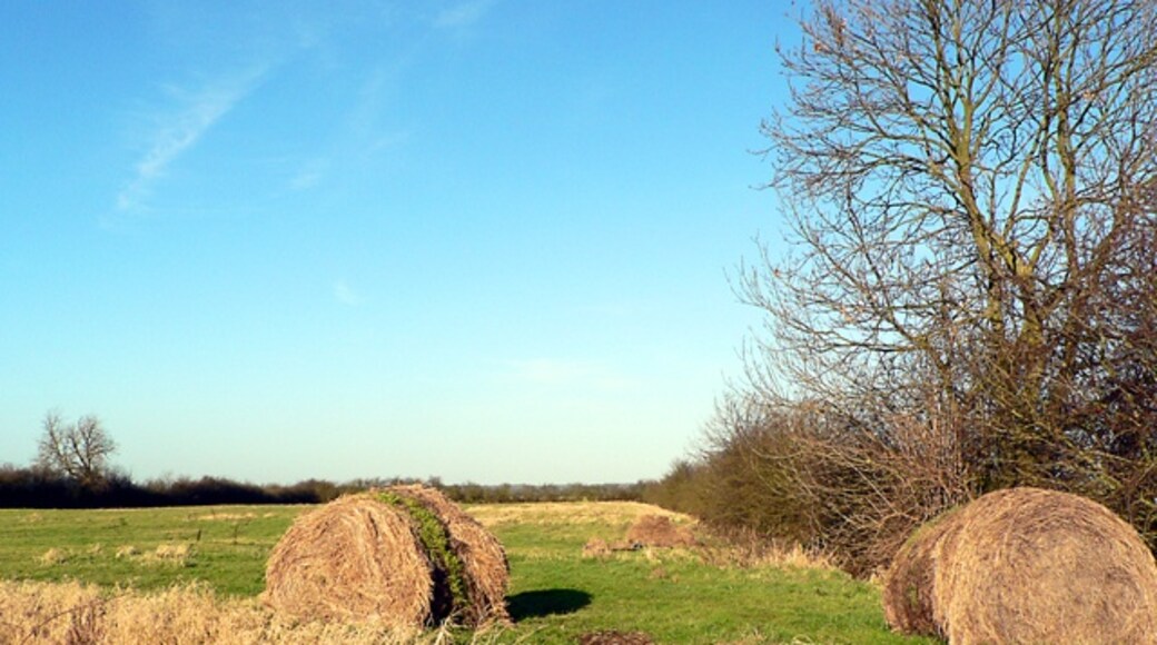 Kuva ”Carrington” käyttäjältä Ian Carrington (CC BY-SA) / rajattu alkuperäisestä kuvasta