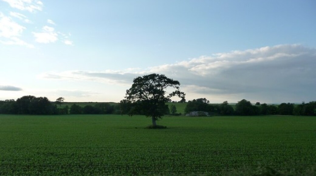 "Ansford"-foto av Lewis Clarke (CC BY-SA) / Urklipp från original