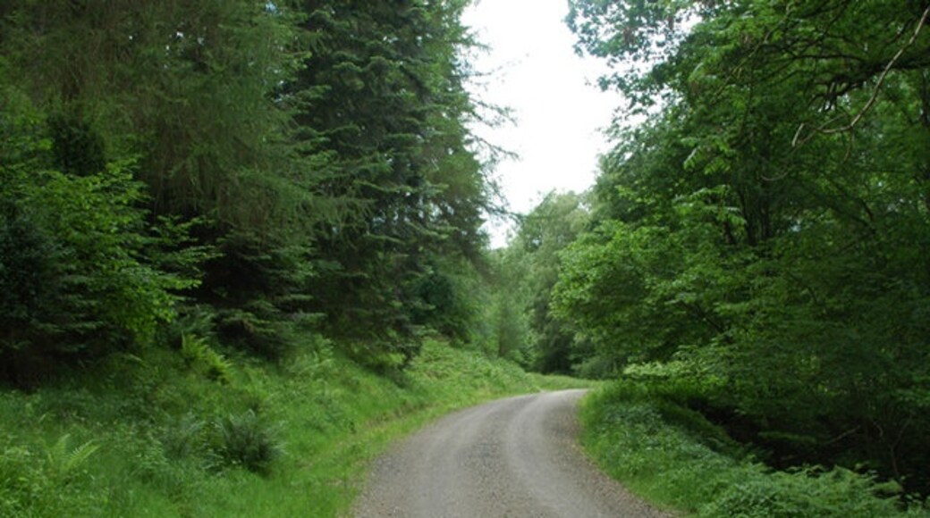 Photo "Pipe Aston" by Row17 (CC BY-SA) / Cropped from original