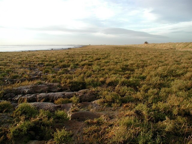 Billede "Skeffling" af Paul Glazzard (CC BY-SA) / beskåret fra det originale billede