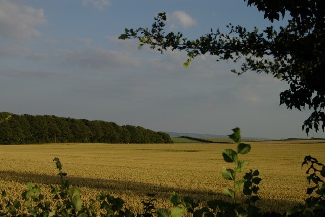 Photo "Chilton" by Jackie Harman (CC BY-SA) / Cropped from original