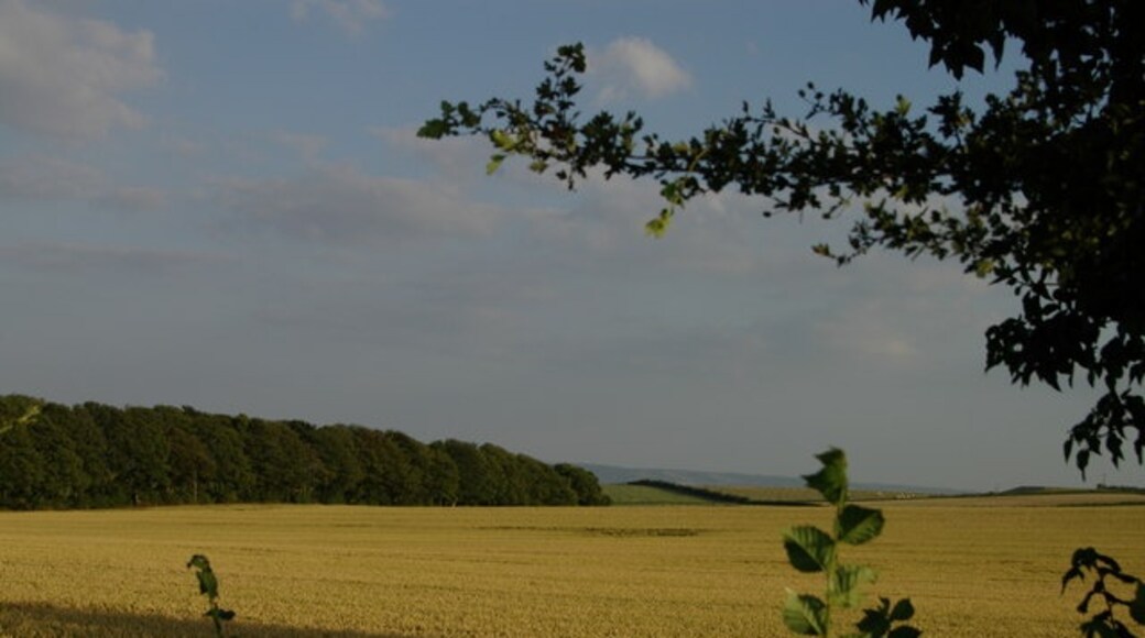 Photo "Chilton" by Jackie Harman (CC BY-SA) / Cropped from original