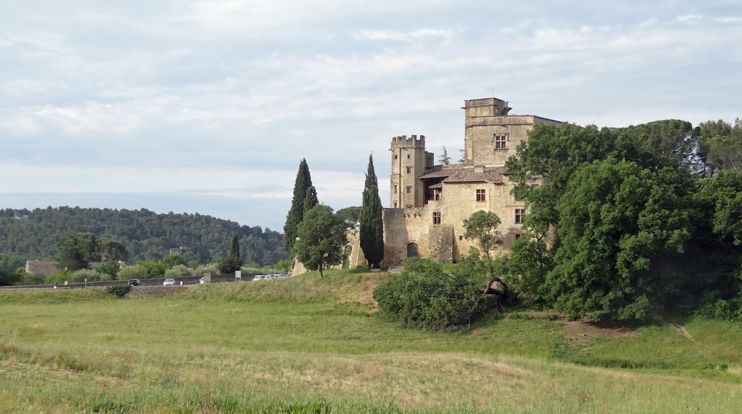 Chateau de Lourmarin, Lourmarin, Vaucluse (département), France