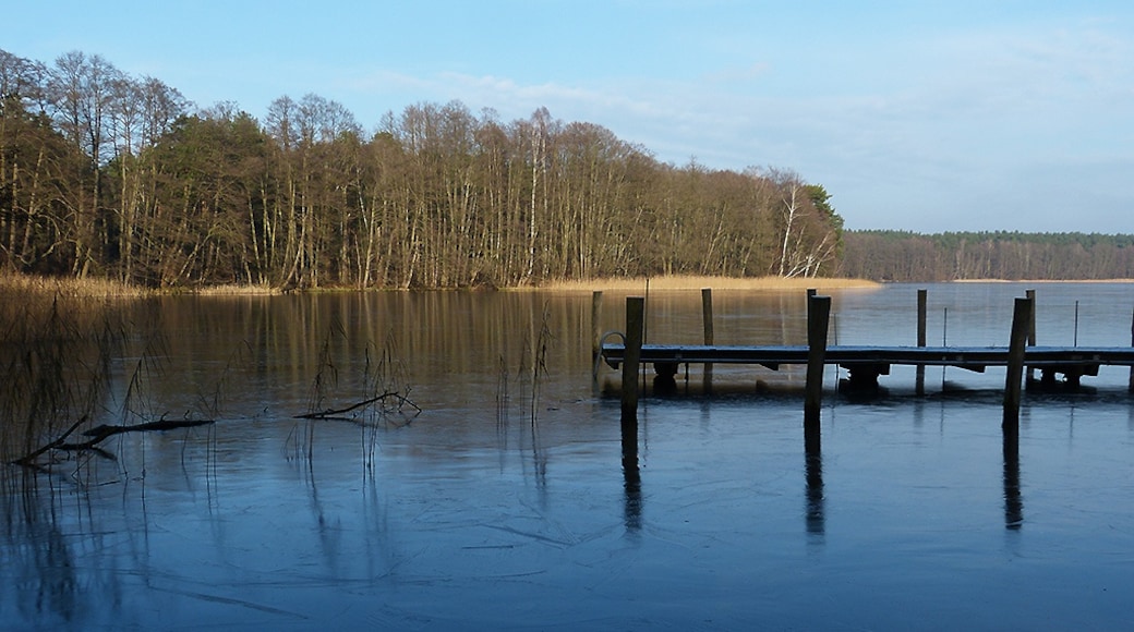 Photo "Uckermark Lakes Nature Park" by Brunhilde Schaefer (CC BY-SA) / Cropped from original