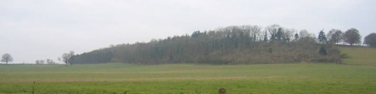 Photo "View towards Ashorne Hill. Looking across the NW corner of this square from the lane to the village of Ashorne towards the wooded slopes of Ashorne Hill in the adjacent square." by David Stowell (Creative Commons Attribution-Share Alike 2.0) / Cropped from original