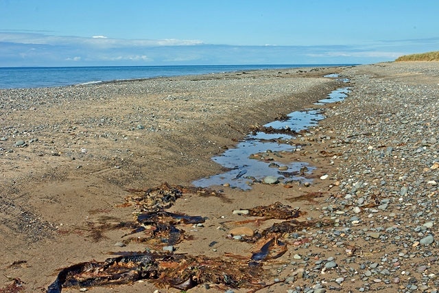 Beach at The Lhen Seemingly desolate, but full of sea life!