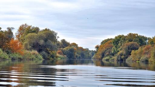 Foto “Offord Cluny y Offord D'Arcy” tomada por Mick Lobb (CC BY-SA); recorte de la original