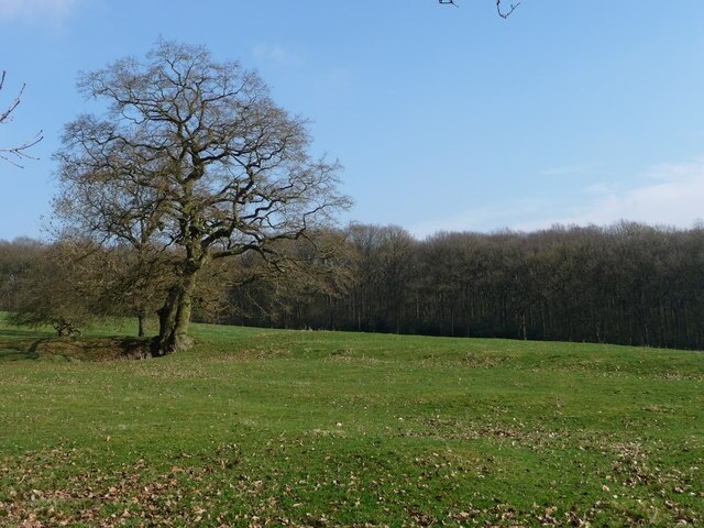 Photo "Dodford with Grafton" by Richard Greenwood (CC BY-SA) / Cropped from original