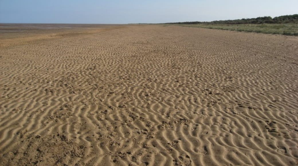 Photo "Saltfleetby-Theddlethorpe Dunes National Nature Reserve" by Alan Heardman (CC BY-SA) / Cropped from original