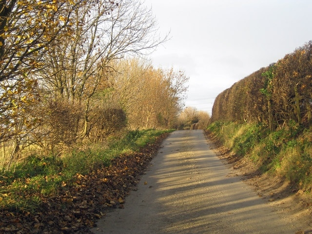 Middlegate near Horkstow Although called Middlegate Lane on modern maps the "Lane" is rather superfluous as the suffix "gate", from the Old English, means street or road.