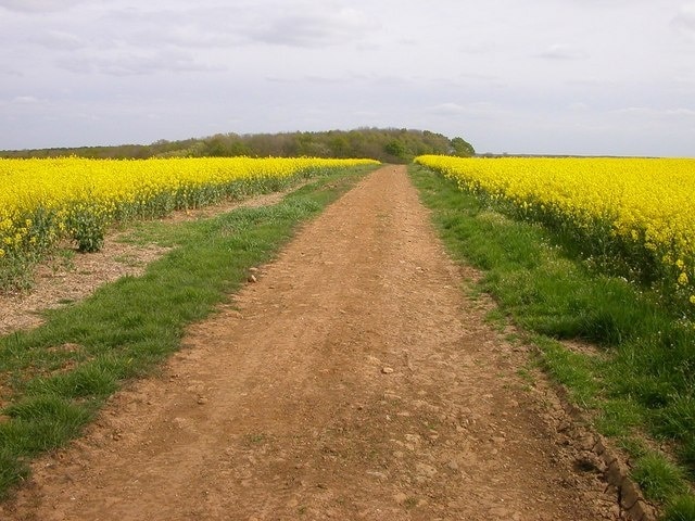 "Weston och Weedon"-foto av Ian Rob (CC BY-SA) / Urklipp från original