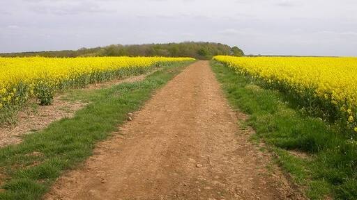 "Weston och Weedon"-foto av Ian Rob (CC BY-SA) / Urklipp från original