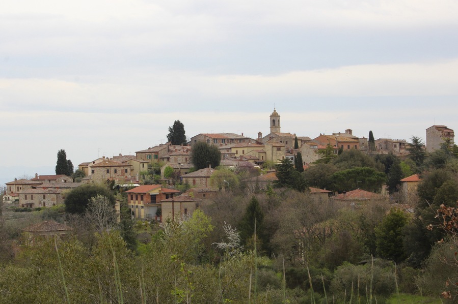 Panorama of Montefollonico, hamlet of Torrita di Siena, Province of Siena, Valdichiana, Tuscany, Italy