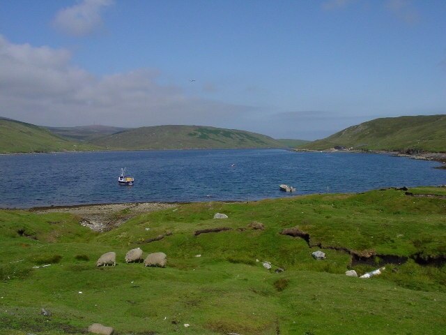 Looking east up Ronas Voe from Skeo Head. Ronas Voe is now of the longest sea lochs in Shetland.