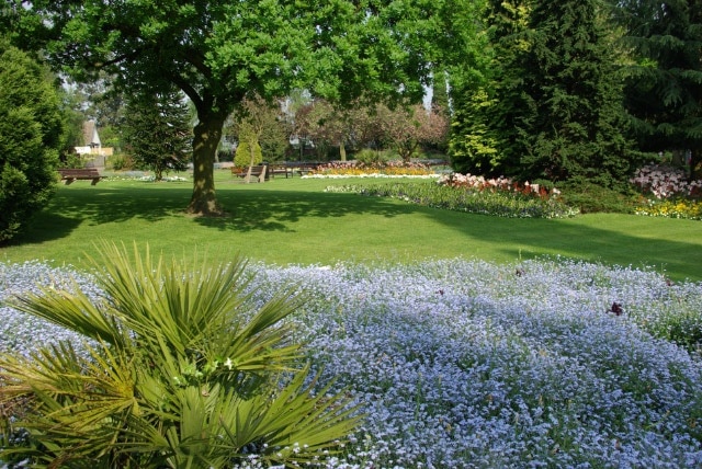 Miners' Welfare Park, Bedworth The park won the Best Public Park in Britain trophy as part of the Britain in Bloom Competition in 2000. An information notice by the gate credits Oliver Deeming as responsible for designing the flower beds.