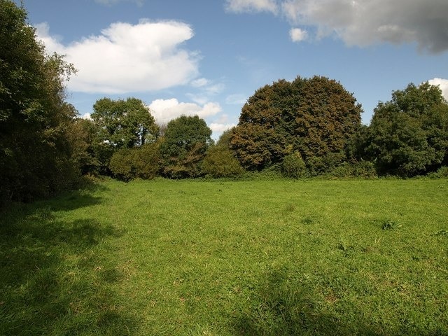 Meadow by the Teign. The west corner of the meadow shown in 992348, seen from the same spot. The river runs immediately behind the trees facing the camera.