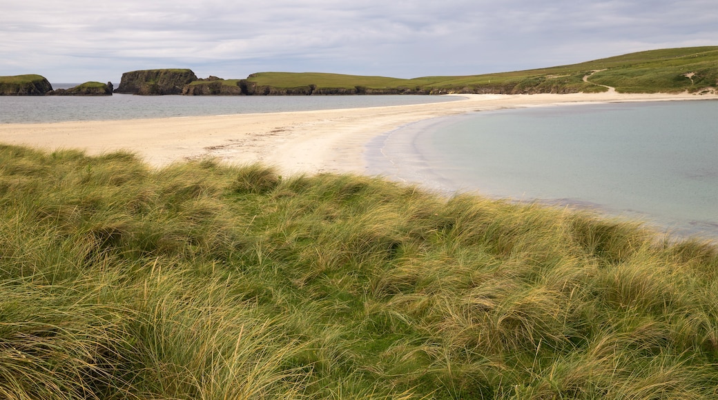 Photo "St Ninian's Isle Tombolo" by Unukorno (CC BY) / Cropped from original