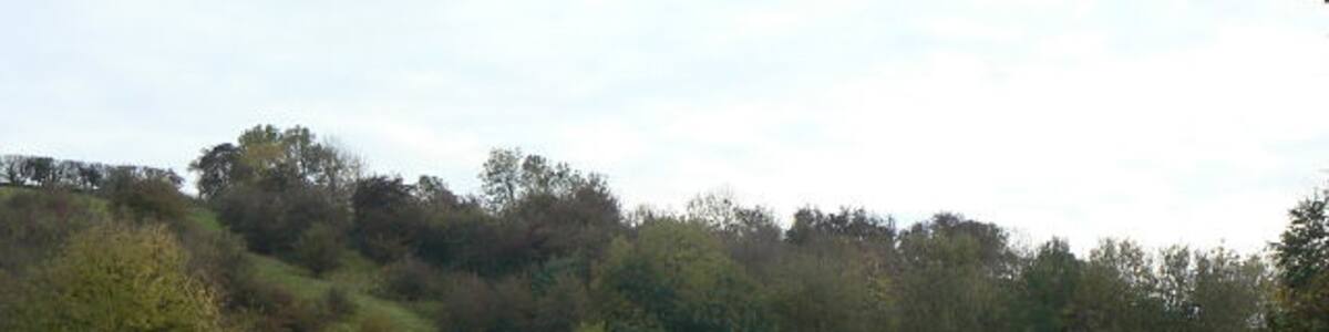 Photo "Gibbet Hill The highest point for some way round, it would have been an obvious place to display the victims of justice." by Alan Murray-Rust (Creative Commons Attribution-Share Alike 2.0) / Cropped from original