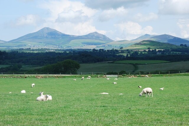 Tir amaethyddol Bodgadle Farmland In the distance are Yr Eifl, Tre'r Ceiri and Mynydd Carnguwch