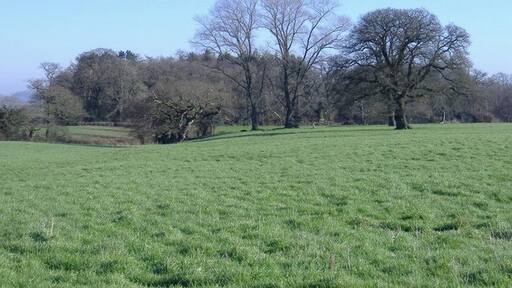 Billede "Kington Langley" af Roger Cornfoot (CC BY-SA) / beskåret fra det originale billede