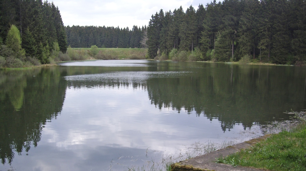 Unterer Flambacher Teich bei Buntenbock im Harz, Blick vom Ausfluss am westlichen Ende des Staudamms über den See. Im Hintergrund der Staudamm des Oberen Flambacher Teiches.