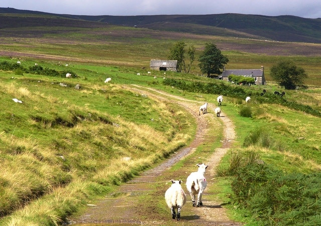 Glentarrie in Glen Prosen