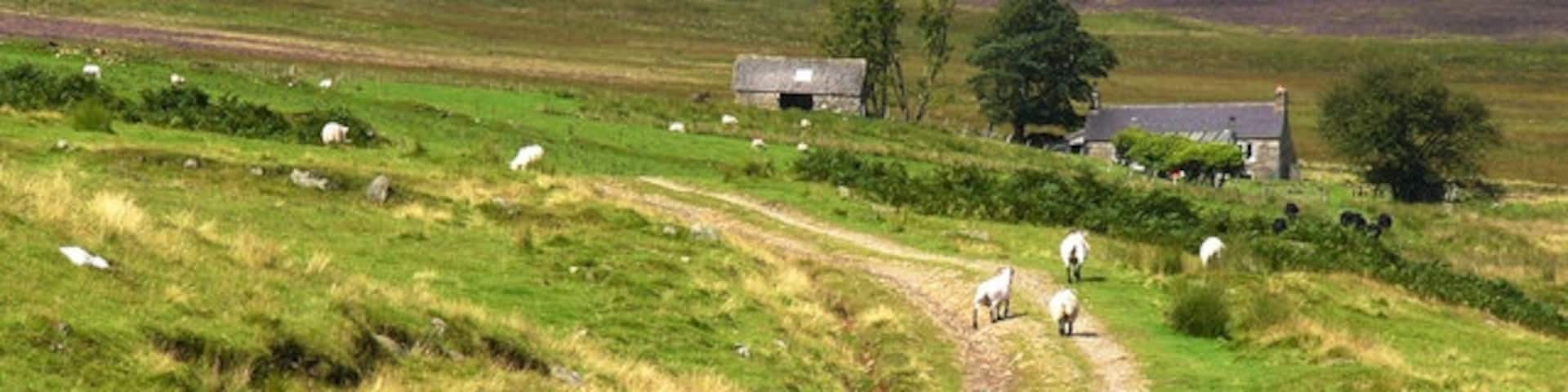 Glentarrie in Glen Prosen