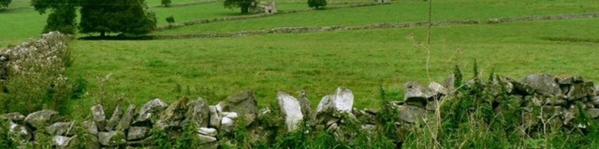 Photo "Drystone wall and fields below Parwich Hill" by Mick Lobb (Creative Commons Attribution-Share Alike 2.0) / Cropped from original