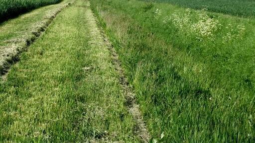 Kuva ”New Leake” käyttäjältä Dave Hitchborne (CC BY-SA) / rajattu alkuperäisestä kuvasta