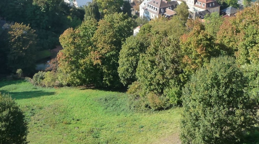 Foto "Heidelberg Castle Garden" di Immanuel Giel (CC BY) / Ritaglio dell’originale