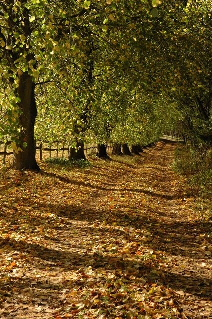 Photo "Rendcomb" by Philip Halling (CC BY-SA) / Cropped from original