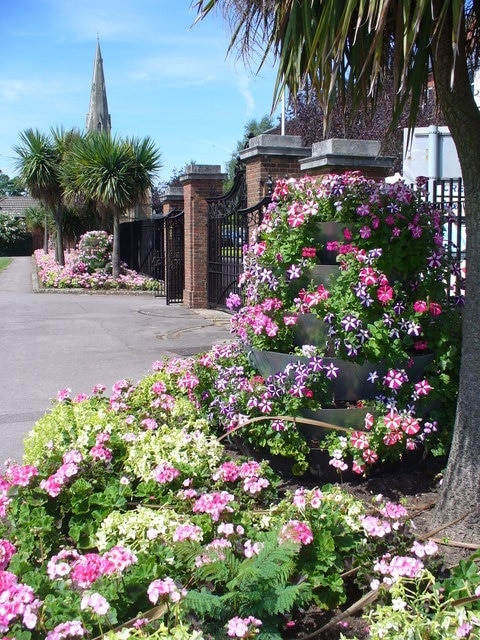 Weybridge in Bloom Colourful floral display at the Recreation Ground just south of Church Street. In the background is the spire of St James, the parish church of Weybridge, excluding the village of Oatlands (in the post town) which was part of Walton-on-Thames. http://www.weybridge.org.uk/