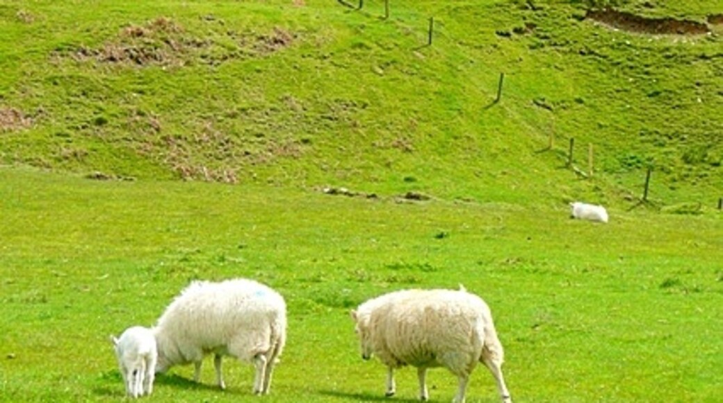 Photo "New Radnor" by Graham Horn (CC BY-SA) / Cropped from original