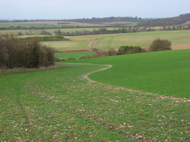 Farmland, Ewelme Beside the bridleway descending from Harcourt Hill. The Chilterns rise to the right of picture.