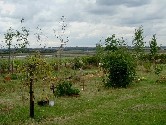 Feldy View. Feldy View is the beginnings of a woodland cemetery on Mersea Island. It has been in operation since about 2000. The idea is to turn a rather ordinary field to the west of Mersea Cemetery into woodland. The area has very pleasant views across the Strood Channel towards Feldy Marshes, no stone or artificial monuments are allowed except wooden grave markers. The only problem is that once all the trees grow up the view across the open marsh that makes the place special will be rather obscured ho humm!