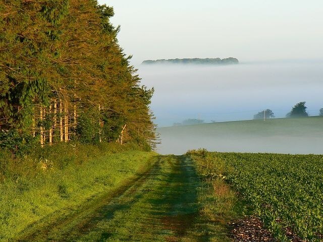 Kuva ”Stapleford” käyttäjältä Brian Robert Marshall (CC BY-SA) / rajattu alkuperäisestä kuvasta