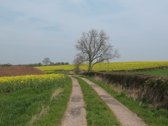 Foto “North Cowton” tomada por Gordon Hatton (CC BY-SA); recorte de la original