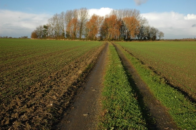 "Pinvin"-foto av Philip Halling (CC BY-SA) / Urklipp från original