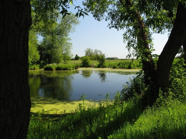 Photo "Sutton with Howgrave" by David Rogers (CC BY-SA) / Cropped from original