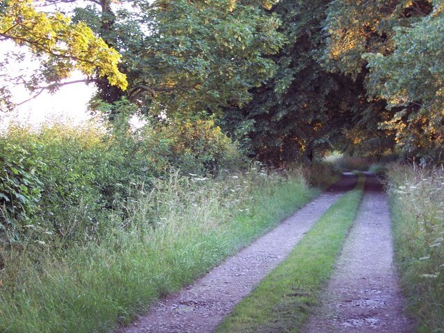 Photo "Barugh" by Trish Steel (CC BY-SA) / Cropped from original