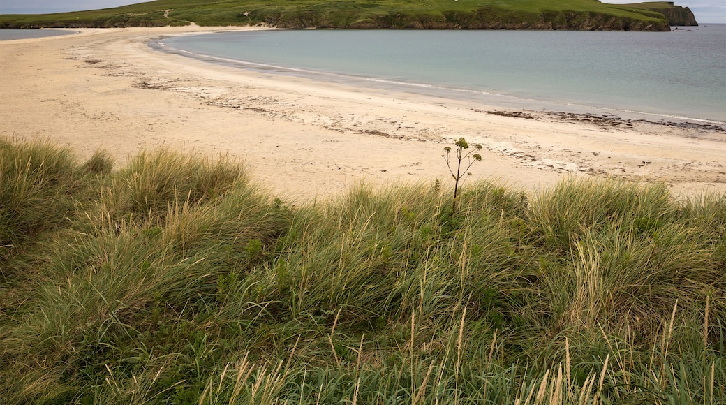 Photo "St Ninian's Isle Tombolo" by Unukorno (CC BY) / Cropped from original